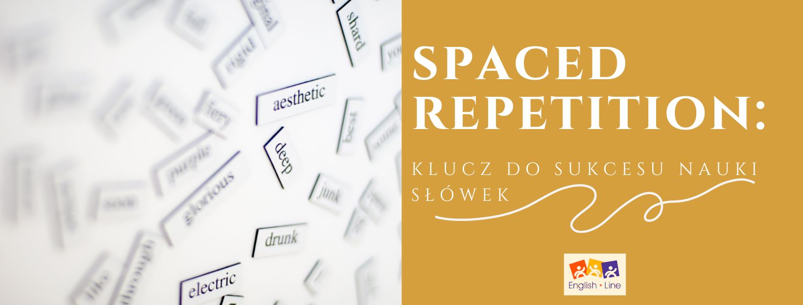 Spaced repetition: klucz do sukcesu nauki słówek